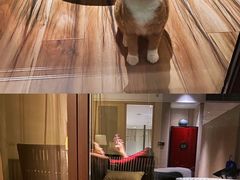 -上海崇明金茂凯悦酒店