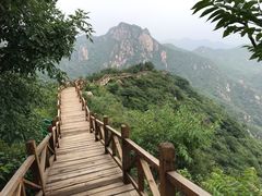 -大岭沟猕猴桃谷风景区