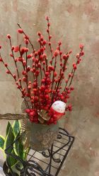 -本真坊美容美体沙龙