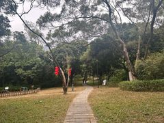 -燕晗山郊野公园