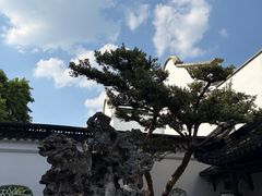 -孙盛兴奥灶面馆·蟹黄面·三虾面(山塘街总店)