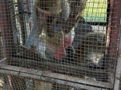 -武汉紫薇都市田园