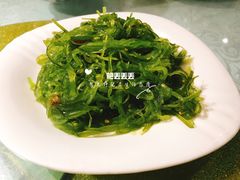 -新疆伏拉沃餐厅(白龙南路店)