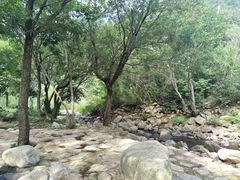 -武汉姚家山旅游景区