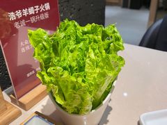 -浩爷羊蝎子火锅(望京店)
