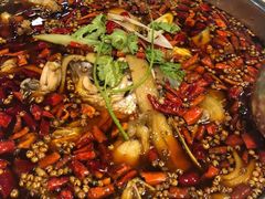 -味之绝热血美蛙鱼火锅(中坝店)