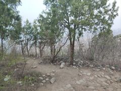 -北京鹫峰国家森林公园