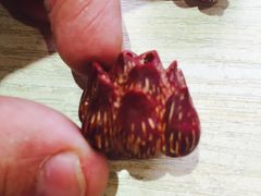 -绿岛汤泉韩式休闲会所