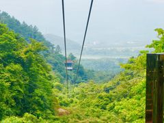 -南丹山森林王国