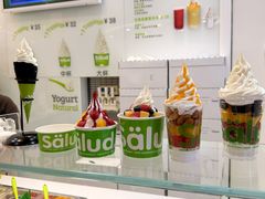 -Salud撒露欧洲冻酸奶(蓝色港湾店)