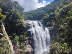 -海南热带雨林国家公园吊罗山景区