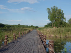 -马家湾湿地公园