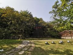 -千年银杏谷文化旅游区