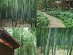 -同里国家湿地公园