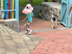 -西部长青自然儿童乐园