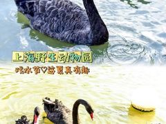 -上海野生动物园