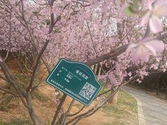 -洛阳市隋唐城遗址植物园