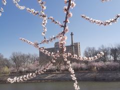 -桃花堤公园