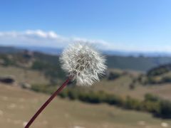 -克什克腾世界地质公园青山景区