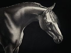 -徐汇艺术馆