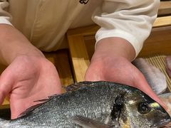 -镹·鱼料理  国产鱼使用店