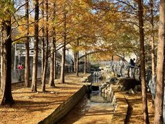 -白水寺森林公园