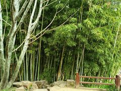 -北寺塔