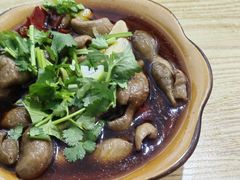 -江油肥肠(飞龙路中段店)