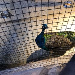 -酷嗒动物文化乐园(cutezoo西溪乐天城店)