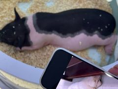 -万达广场(惠州大亚湾店)