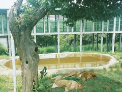-西安秦岭野生动物园