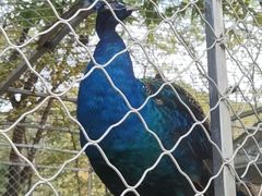 -丹东市五龙山风景区