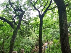 -灵岩山风景区