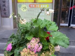 -素虎料理(前门店)