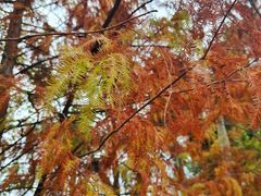 -厦门园林博览苑