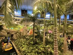 -南宫五洲植物乐园