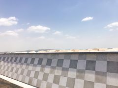 -星光岛
