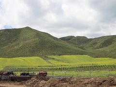 -扁都口生态休闲旅游区