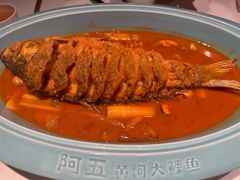 -阿五黄河大鲤鱼(英协路店)