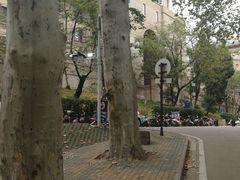 -武汉大学-樱园