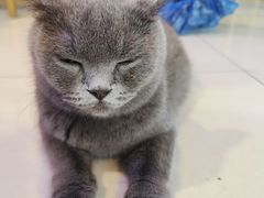 -平行世界·猫咖(首经贸店)