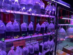 -华声天桥民俗文化园