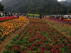 -广州市石门国家森林公园