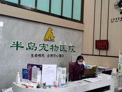 -半岛宠物医院24小时(科华中路店)