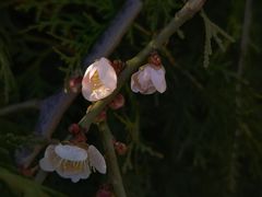 -接你jenny咖啡·西餐厅