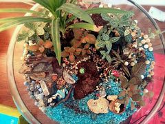 picture-深圳大旅小舍精品艺术民宿