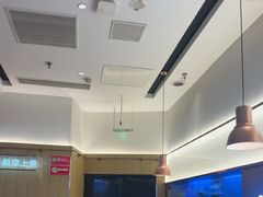 -老板恋上鱼(印象城店)