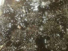 -马路边上·小海鲜烧烤(八一路店)