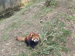 -宁波野生动物园