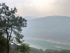 -铁山坪森林公园